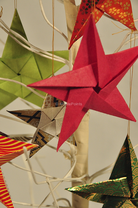 Sculptural-Origami Stars on Tree.jpg